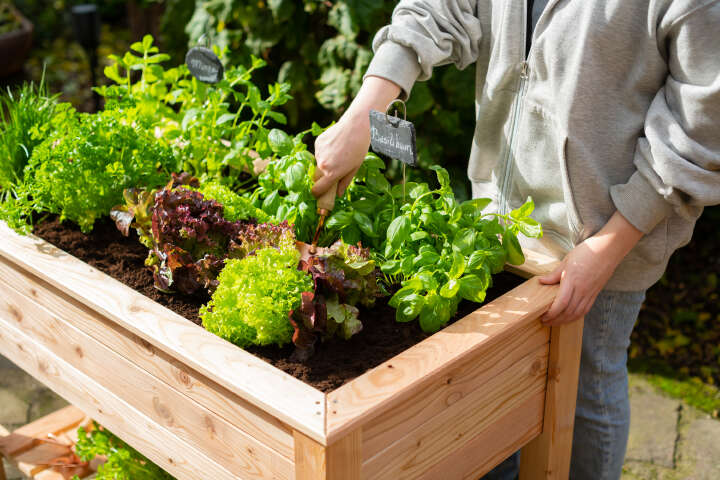 WESTMANN Hochbeet Emily inklusive Ablage